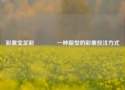 彩票宝足彩🥉一种新型的彩票投注方式