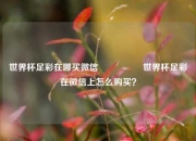 世界杯足彩在哪买微信🎖️世界杯足彩在微信上怎么购买？