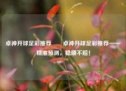 卓神开球足彩推荐✌️卓神开球足彩推荐——精准预测，稳赚不赔！