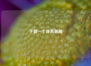 下载一个体育新闻