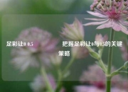 足彩让0 0.5🎖️把握足彩让0与0.5的关键策略