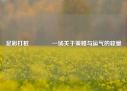 足彩打桩👉一场关于策略与运气的较量