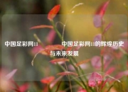 中国足彩网11🏆中国足彩网11的辉煌历史与未来发展