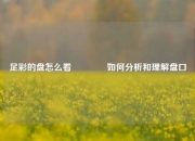 足彩的盘怎么看🏅如何分析和理解盘口