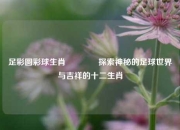 足彩圆彩球生肖🏅探索神秘的足球世界与吉祥的十二生肖