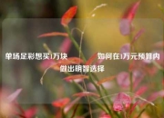 单场足彩想买1万块🥇如何在1万元预算内做出明智选择