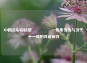 中国足彩脚踏馆🎖️一场集传统与现代于一体的体育盛宴