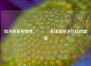 欧洲杯足彩软件🥉全球足球迷的狂欢盛宴
