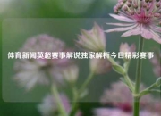 体育新闻英超赛事解说独家解析今日精彩赛事