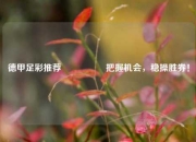 德甲足彩推荐🎖️把握机会，稳操胜券！
