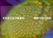 足彩怎么玩才能赢钱🥇策略与技巧指南