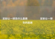 足彩让一球负什么意思🎖️足彩让一球负的意思