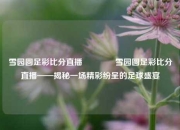 雪园圆足彩比分直播👍雪园圆足彩比分直播——揭秘一场精彩纷呈的足球盛宴