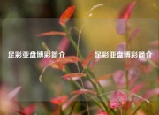 足彩亚盘博彩简介👉足彩亚盘博彩简介