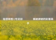 陆慧明看12号足彩👍揭秘神秘的彩票高手