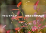 手机彩客网足彩🥉在线竞猜的便捷选择
