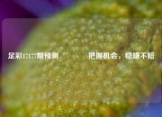 足彩17177期预测👈把握机会，稳赚不赔