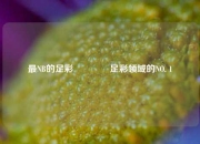 最NB的足彩👍足彩领域的NO. 1