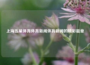 上海五星体育体育新闻体育新闻的精彩篇章