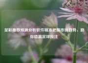 足彩推荐预测分析软件精准把握市场趋势，助你稳赢足球投注
