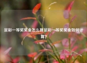 足彩一等奖奖金怎么算足彩一等奖奖金如何计算？