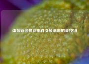 体育新闻最新事件引领潮流的竞技场