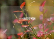 21079期足彩预测
