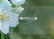 足球胜负彩16046期