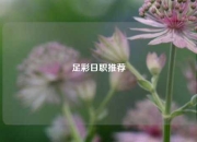 足彩日职推荐