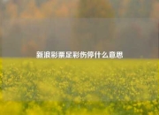 新浪彩票足彩伤停什么意思