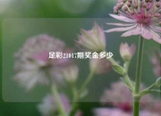 足彩21017期奖金多少