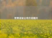 世界足彩公司介绍图片