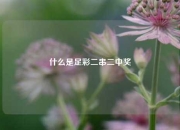 什么是足彩二串二中奖