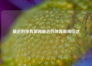 最近的体育新闻最近的体育新闻综述