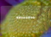 搜狐足彩指数中心