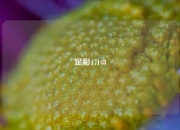 足彩17148