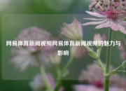网易体育新闻视频网易体育新闻视频的魅力与影响