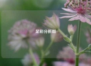 足彩分析群