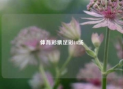 体育彩票足彩14场