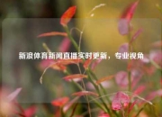 新浪体育新闻直播实时更新，专业视角
