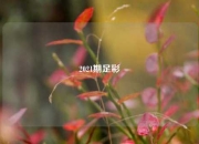 2021期足彩