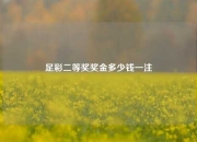足彩二等奖奖金多少钱一注