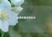 新浪彩票足彩比分