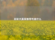 足彩大赢家推荐号是什么