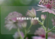 足彩盘路是什么意思