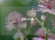 足彩16046期