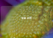 足彩 补时
