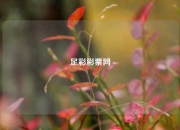 足彩彩票网