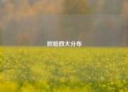 欧赔四大分布