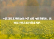 体育新闻足球概念股体育盛宴与投资机遇，揭秘足球概念股的黄金时代